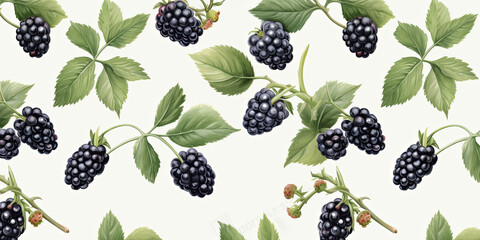 Blackberry pattern with leaves on white background, pattern design