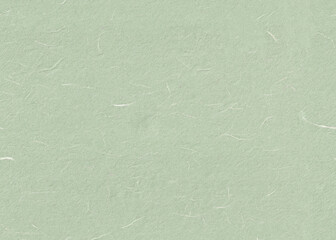 Seamless Gum Leaf, Pale Leaf, Surf Crest, Zanah, Surf Crest Rice Art Paper Texture for the Background - 767584742