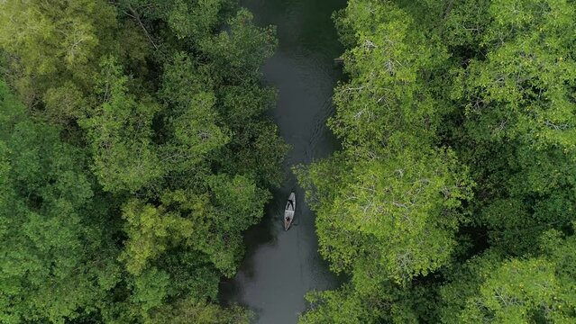 Manglares Costa Pac&iacute;fica Tumaco Nari&ntilde;o Colombia 
