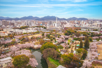 Scenery of Himeji city located in Hyogo Prefecture in Kansai, Japan - 767585503