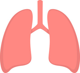 lungs organ pneumonia