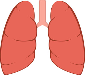lungs organ pneumonia