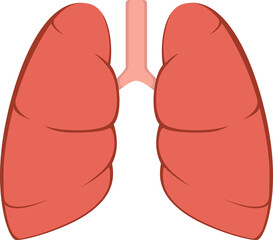 lungs organ pneumonia