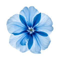 Beautiful blue flower on transparent background