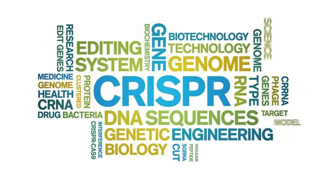 CRISPR animated word cloud;text design animation tag kinetic typography seamless loop.