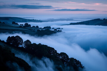 Obraz premium A dense fog rolling over a hilly landscape at dawn, with just the tops of trees peeking through the mist