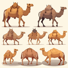 Camel Set cartoon vector illustration isolated back
