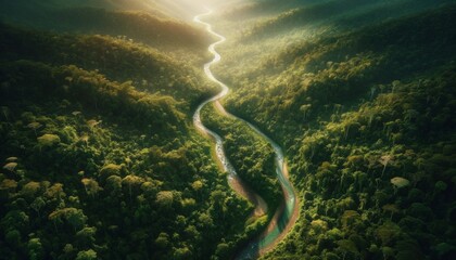 An aerial view of a meandering river flowing through a lush rainforest.