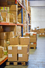Boxes, packages and shelves with inventory at warehouse for distribution, supply chain or logistics. Empty room or interior of parcel, cargo or shipment in factory or storage for export or import