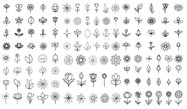 black and white icons set, Flower icon collection vector illustration.