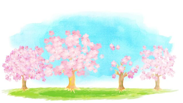 水彩の桜並木が咲くアニメーション