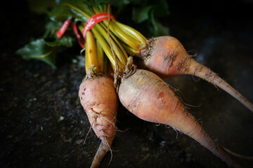 親善なオーガニックビート