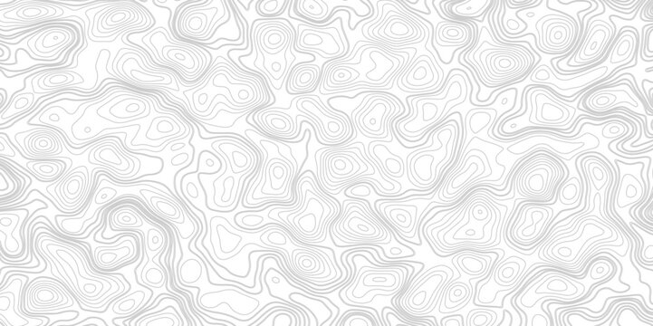 Topographic map background. Linear map. Vector Image. Abstract vector illustration. 