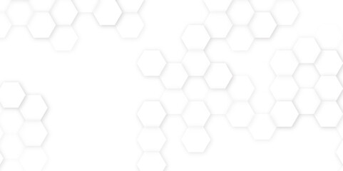 Hexagon structure on the gray background. Vector gray honeycomb hexagon background. vector file.