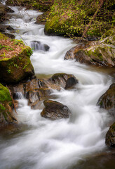 Fototapeta na wymiar Mountain stream flowing through the rocks in spring forest. Long exposure