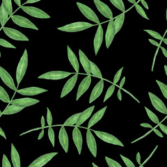 Marigold Flower Leaves Seamless Pattern. Floral Leaf Digital Paper on Black Background.