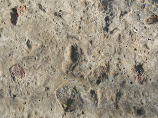 The texture of old concrete with stones frozen in it. Closeup