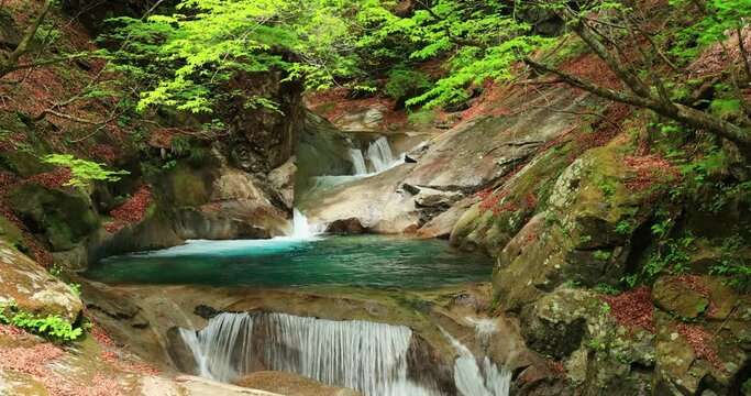 新緑の西沢渓谷　三重の滝　山梨県　
