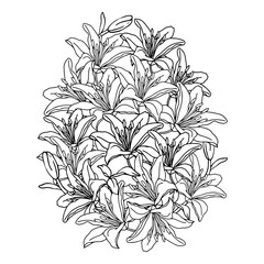 Easter egg flower background, hand drawn floral elements for spring holiday. Black and white line art compositions for coloring page. Vector illustrations for card or invitations