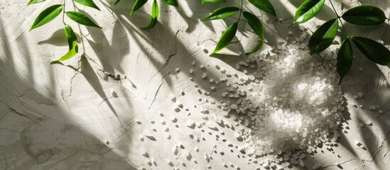 Salt stones and green Riskus leaves in sunlight, casting shadows on a concrete background, with space for text. Ideal for promoting cosmetics, fashion, and spa services.