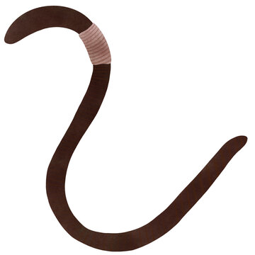 brown worm with tan band clip art preview