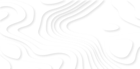 Abstract white paper cut background with lines. Background of the topographic map. White wave paper curved reliefs abstract background. Realistic papercut decoration textured with wavy layers.