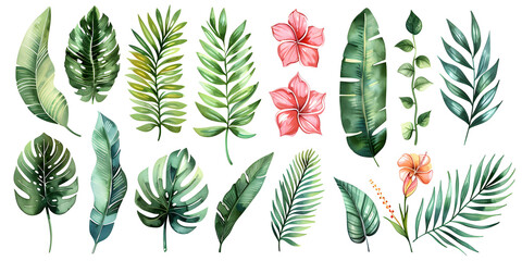 Watercolor Tropical Floral and Foliage Illustration Set - Exotic Leaves and Flowers