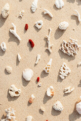 Assorted Seashells and corals on Beige Beach Sand, nature flat lay from shells and white and red coral pieces on natural sandy background, minimal creative pattern, neutral trend tones, above view