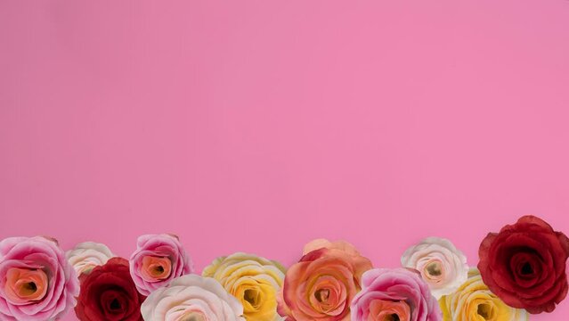 rotating roses borders on pink background, 4K animation