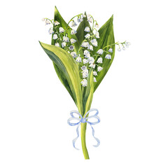 Bouquet of lily of the valley flowers, drawn by hand. Watercolor illustration of spring flowers