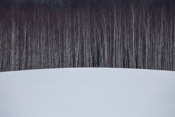 北海道の牧草地の積雪と林