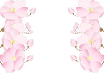 日本の春に咲く花桜をもモチーフにしたコピースペース用イラスト