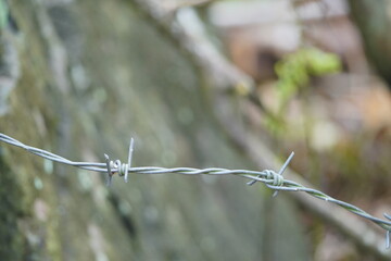 An illustration of a barb wire. Old security barbed wire isolated on black background. Closeup...