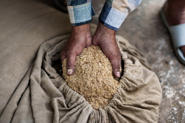 Rice husks obtained from rice milling in the hands of farmers