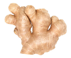 Close-up, Fresh ginger rhizome isolated, transparent PNG, PNG format, cut out