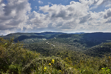 Peaceful Green Hills and Cloudy Blue Sky Landscape with Vibrant Colors