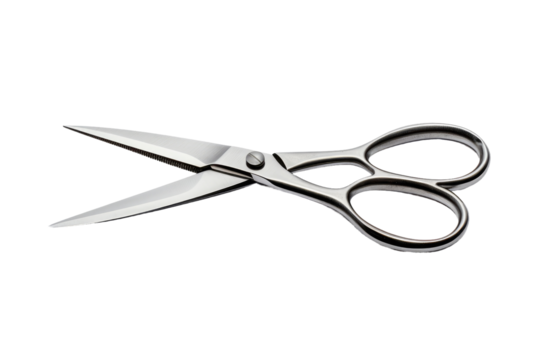 Cutting Through Silence. On White or PNG Transparent Background.