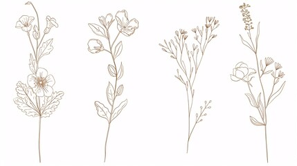 An Exploration of Minimalism and Nature  Exquisite Floral Botanical Line Art Capturing the Essence of Wilderness
