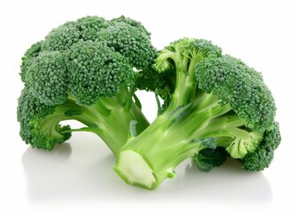 A large green broccoli head sits on a white background