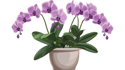 Naklejka na ściany i meble Illustration with dark orchid in pot Flat vector 