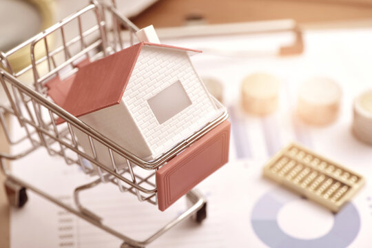 Coins, abacus, and close-up images of small houses placed in shopping carts on data drawings