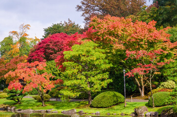 Washington Park Arboretum, Botanic Gardens in the City of Seattle