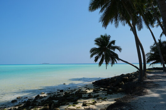 Mathiveri is one of the westernmost islands in the Maldives, beautiful beach scene with coconut trees.