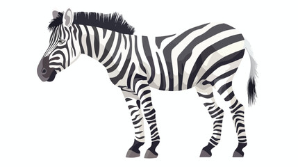 Fototapeta na wymiar Zebra illustration design and vector Flat vector 