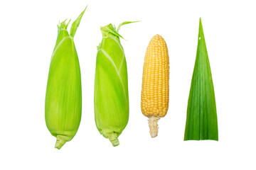 Organic sweet corn isolated on white background
