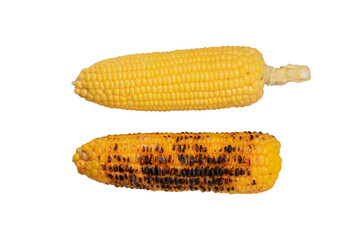 Organic sweet corn isolated on white background, Roasted corn