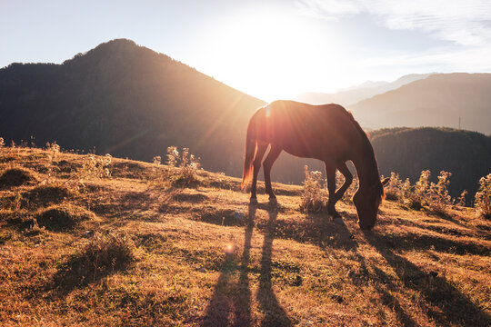 breathtaking views in Tusheti - in one of the most beautiful regions of Georgia. Autumn colors add charm and mood.