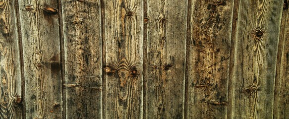 wood texture natural, plywood texture background surface with old natural pattern, Natural oak texture with beautiful wooden grain, Walnut wood, wooden planks background, bark wood. - 767658909