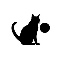 a cat playing with a ball