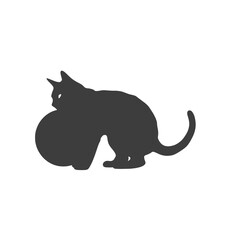 a cat playing with a ball
